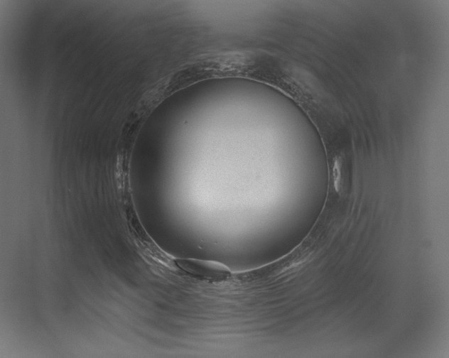 X0000071341395200606231126