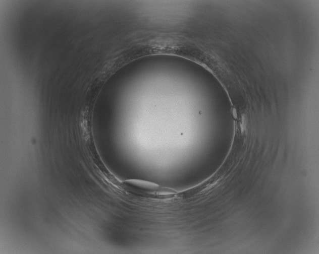 X0000071341396200606231126