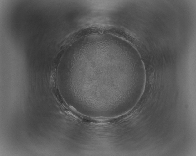 X0000071341397200606231126