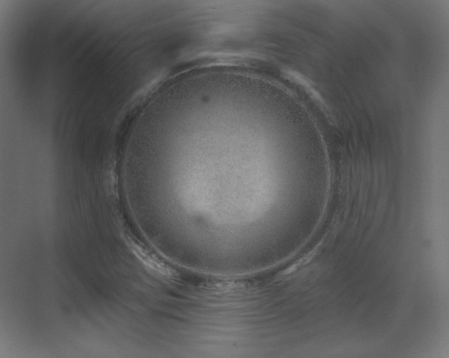 X0000071341403200606231126