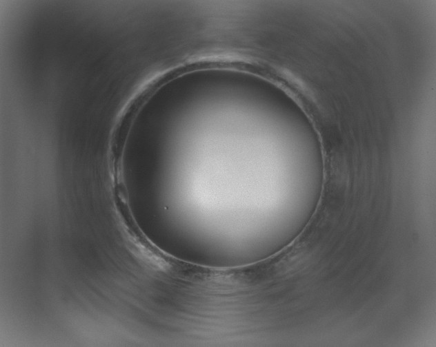 X0000071341408200606231126