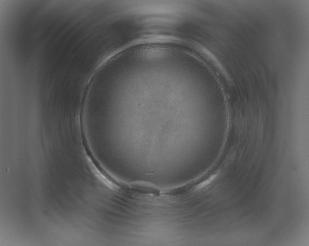 X0000071341417200606231126