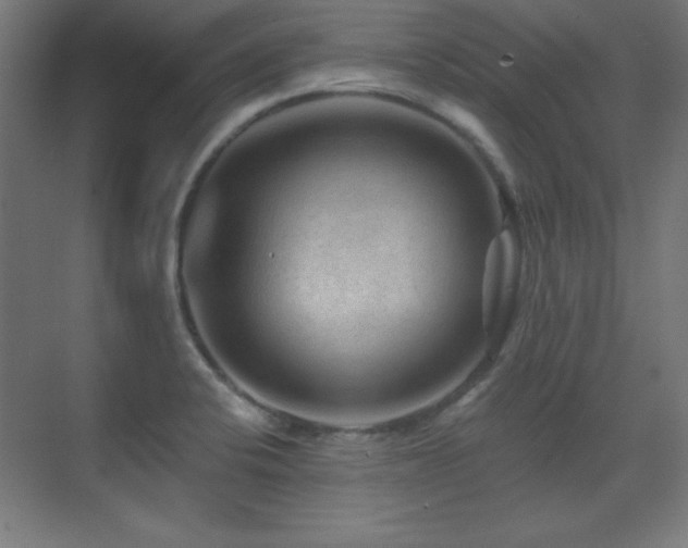 X0000071341424200606231126