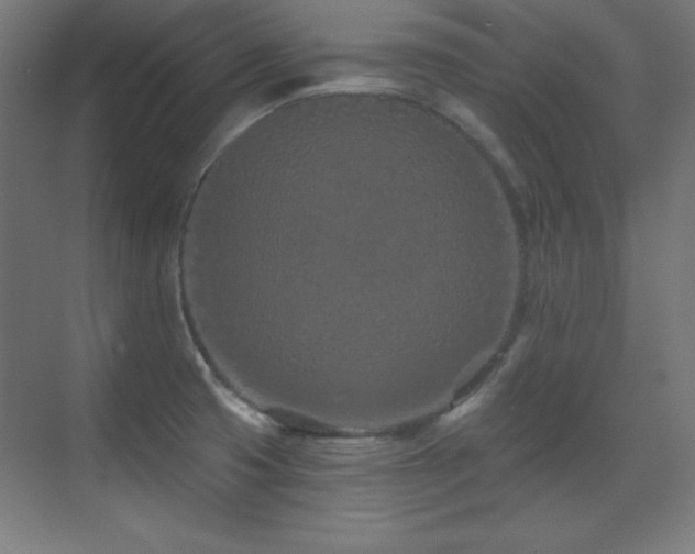 X0000071341425200606231126