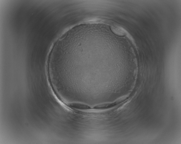 X0000071341429200606231126