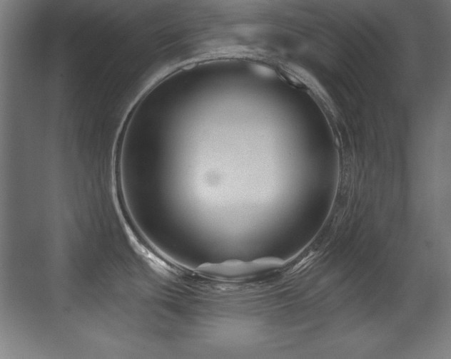 X0000071341439200606231127
