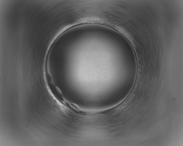 X0000071341440200606231127