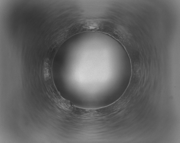 X0000071341442200606231126
