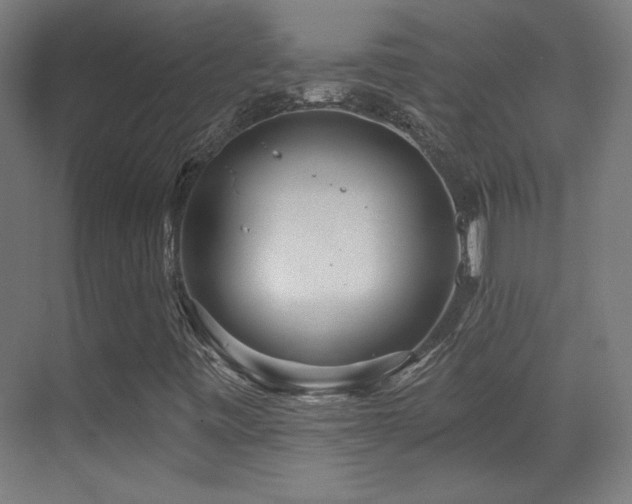 X0000071341443200606231126