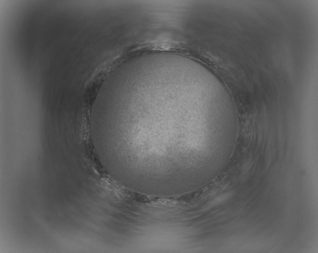X0000071341446200606231126
