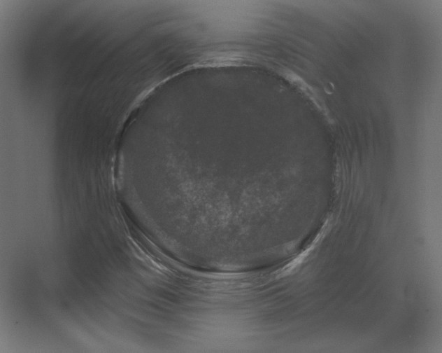 X0000071341449200606231126
