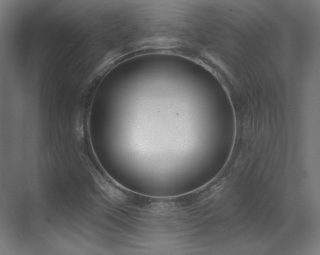 X0000071341451200606231126