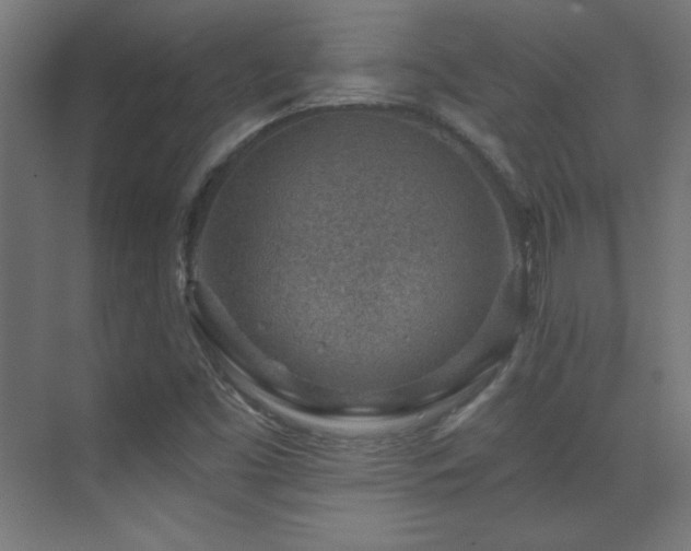 X0000071341453200606231126