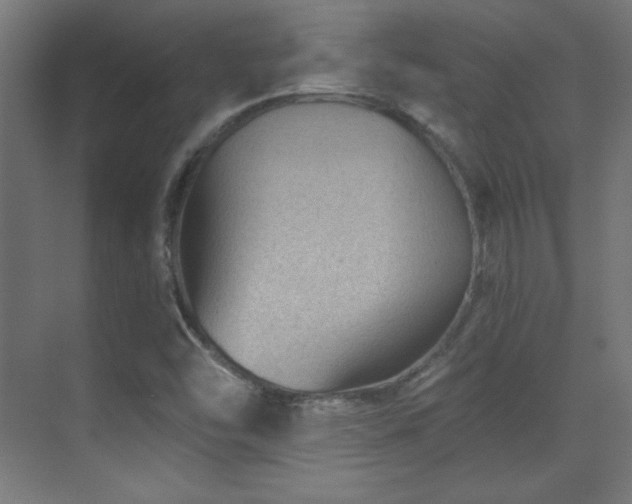 X0000071341454200606231126