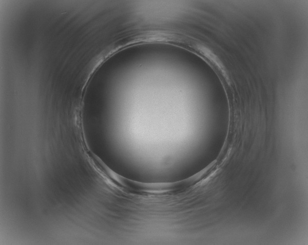 X0000071341481200606231125