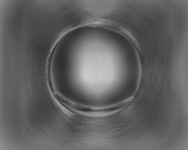 X0000071341483200606231125