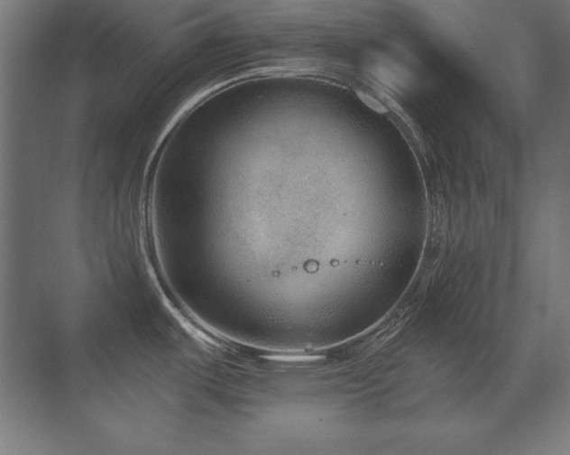 X0000071341487200606231125