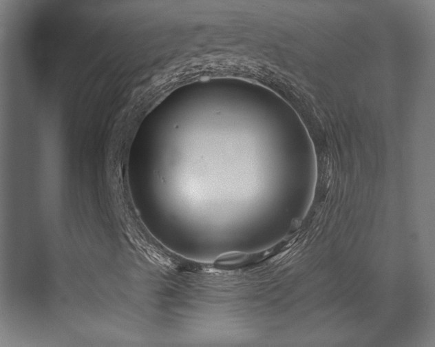 X0000071341489200606231124