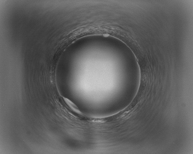 X0000071341490200606231124