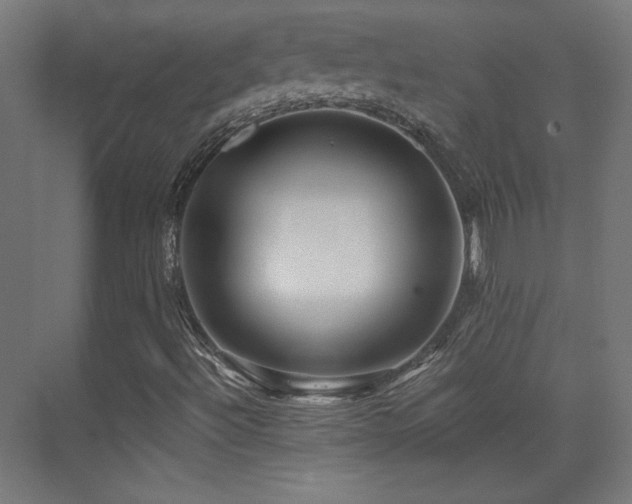 X0000071341492200606231124