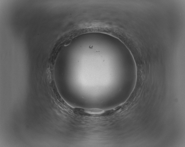 X0000071341493200606231124