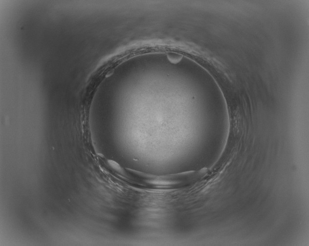 X0000071341494200606231124