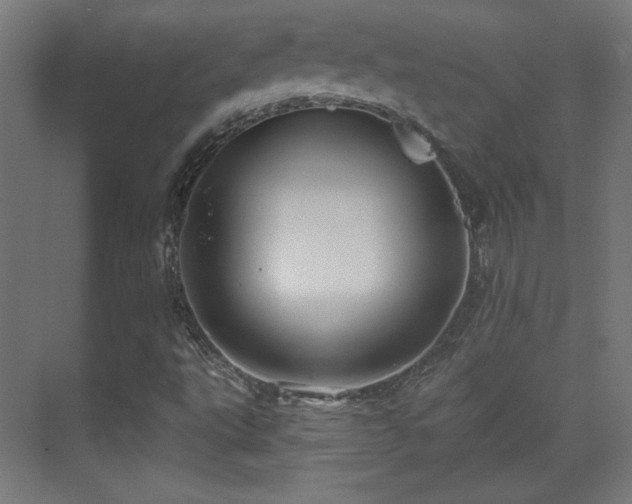 X0000071341495200606231124