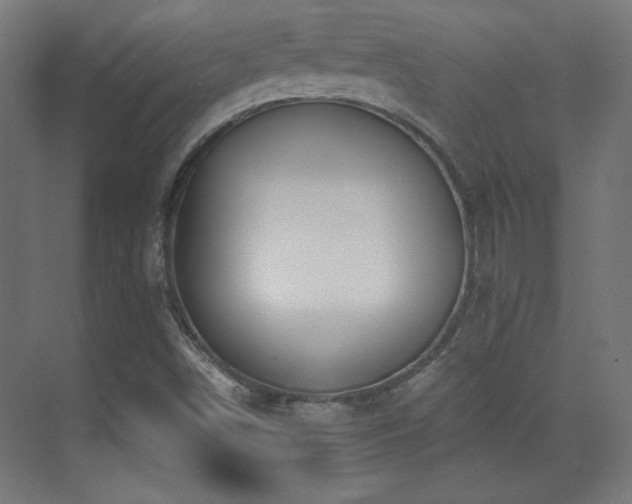 X0000071341498200606231124