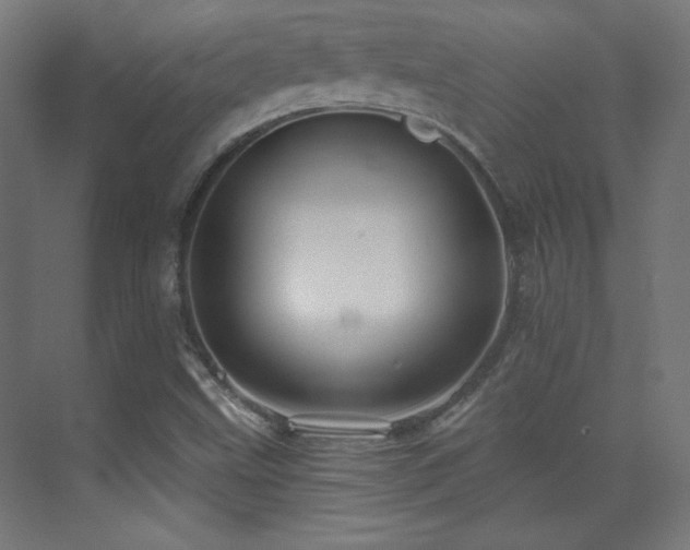 X0000071341499200606231124