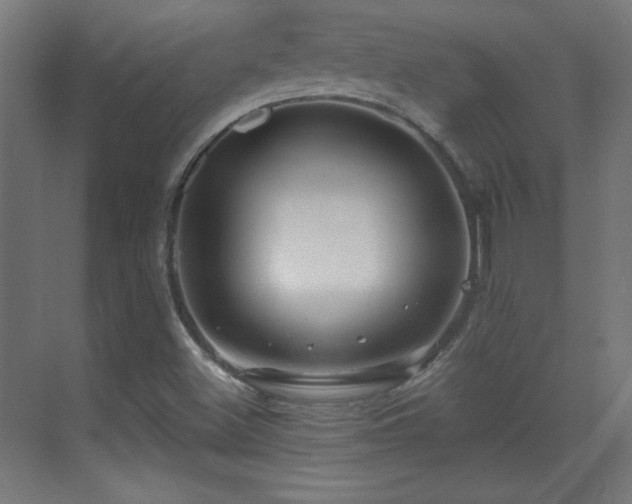 X0000071341500200606231124