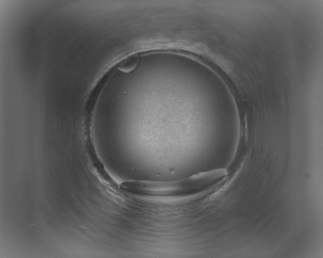 X0000071341501200606231124