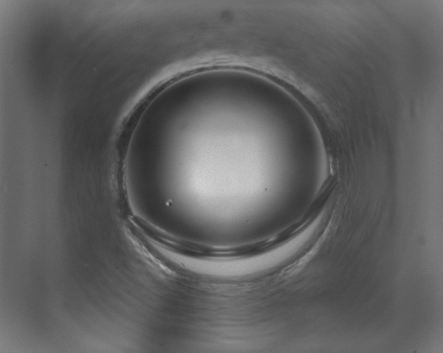 X0000071341502200606231124