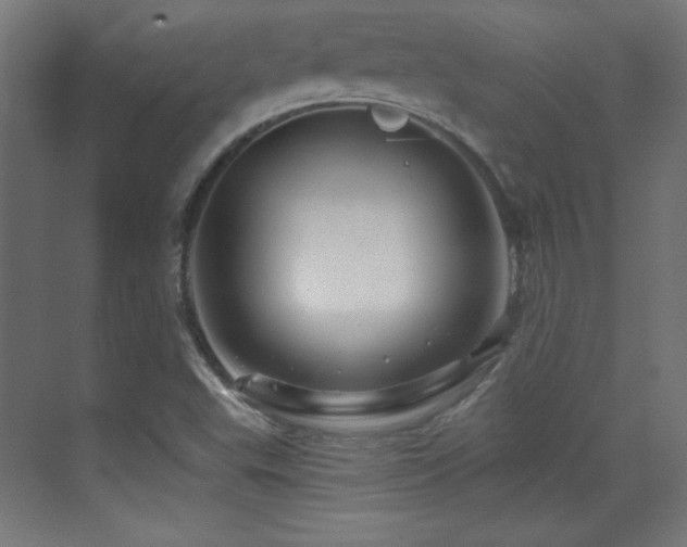 X0000071341503200606231124