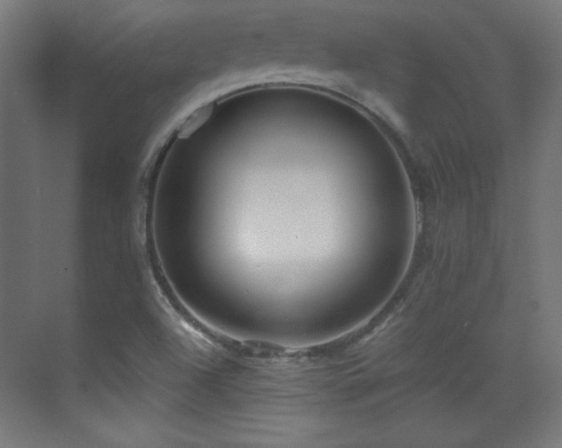 X0000071341504200606231124