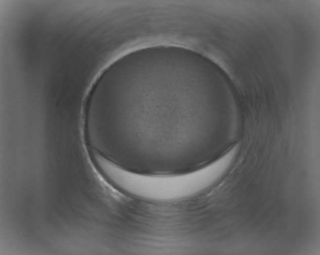 X0000071341508200606231124