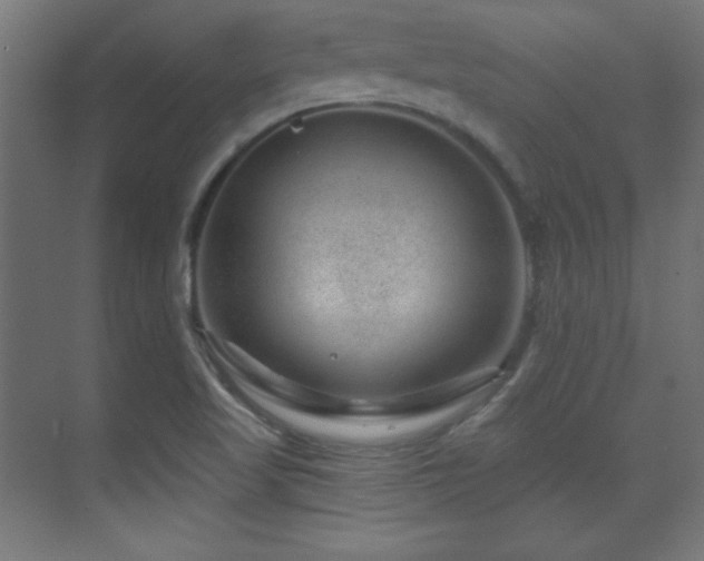 X0000071341509200606231125