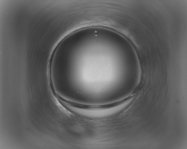X0000071341516200606231125