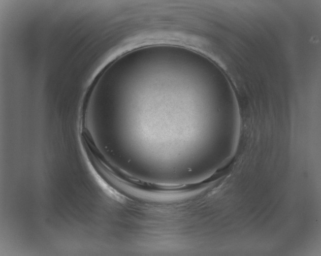X0000071341523200606231125