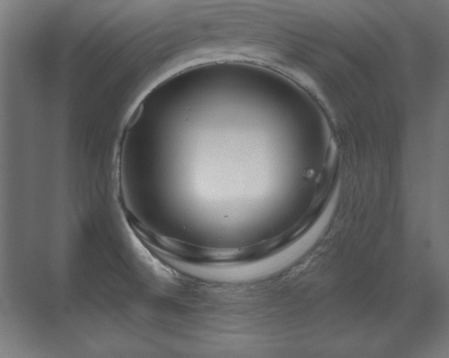 X0000071341524200606231125