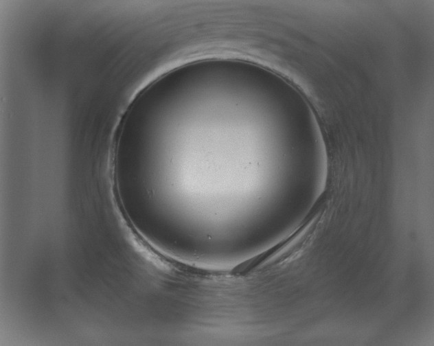 X0000071341526200606231125