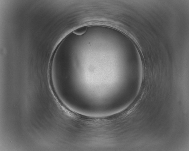 X0000071341533200606231125