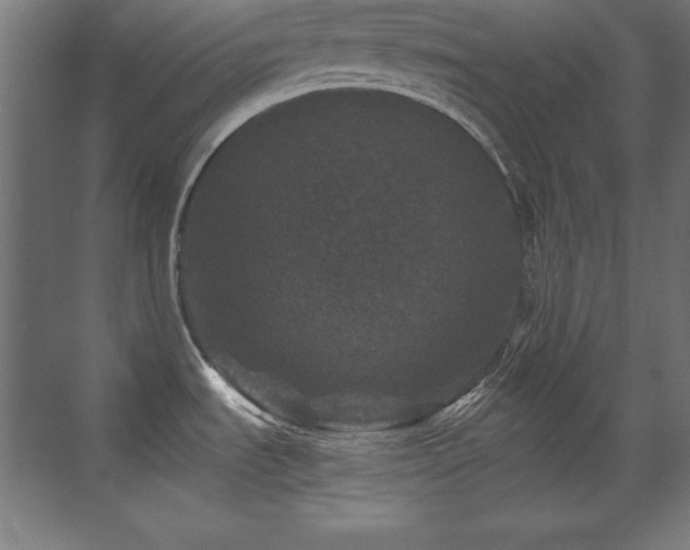 X0000071341535200606231125