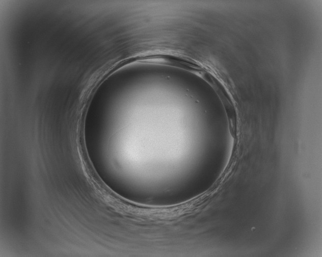 X0000071340001200606261328