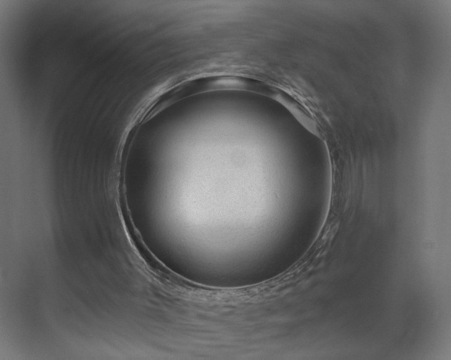 X0000071340003200606261328