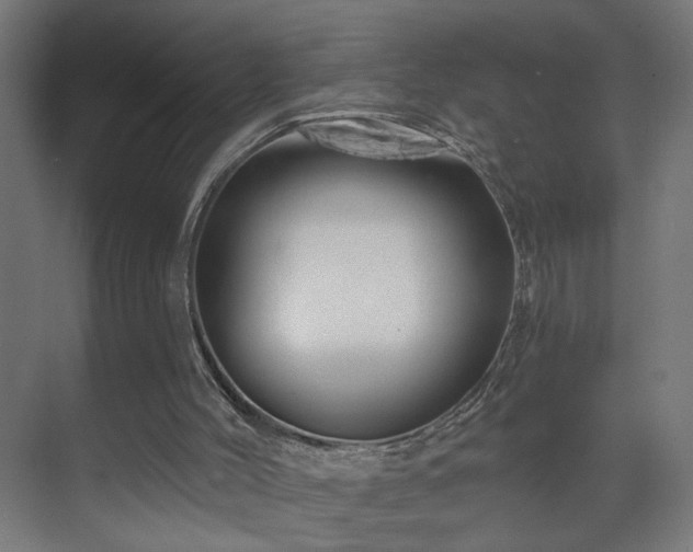 X0000071340004200606261328