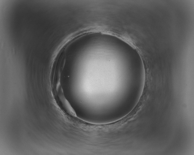 X0000071340007200606261328