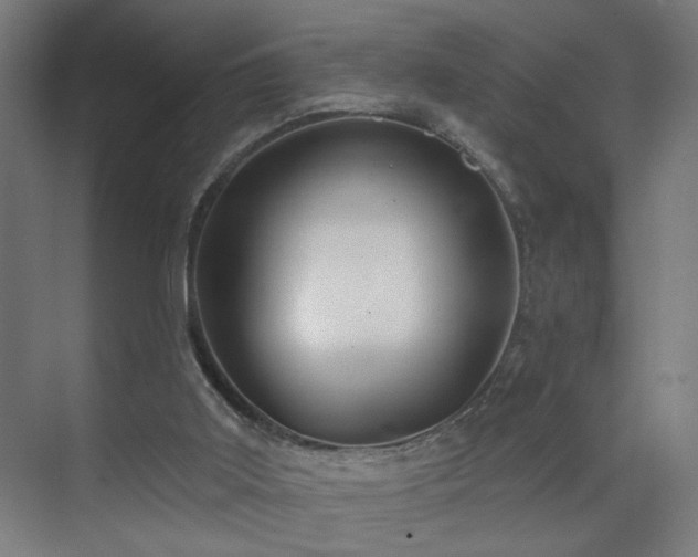 X0000071340011200606261327