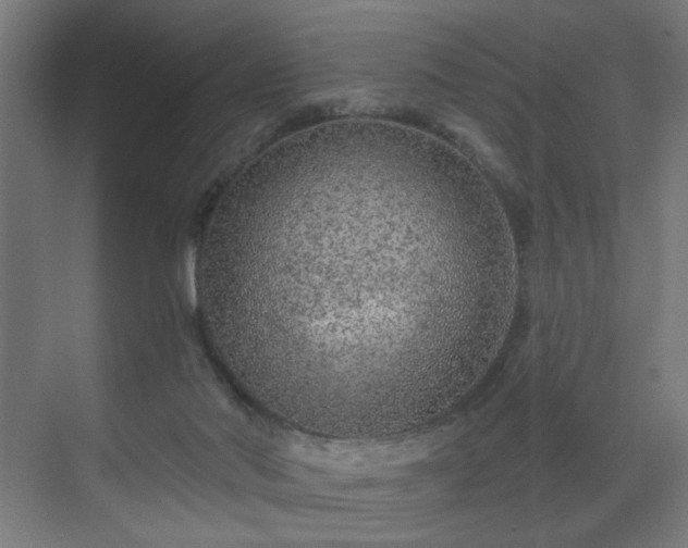 X0000071340022200606261327