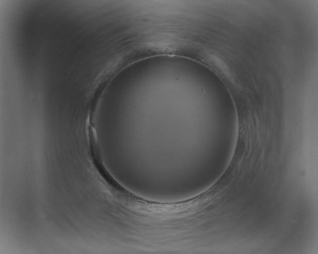 X0000071340023200606261327