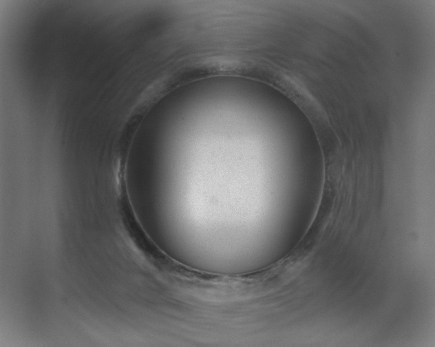 X0000071340024200606261327